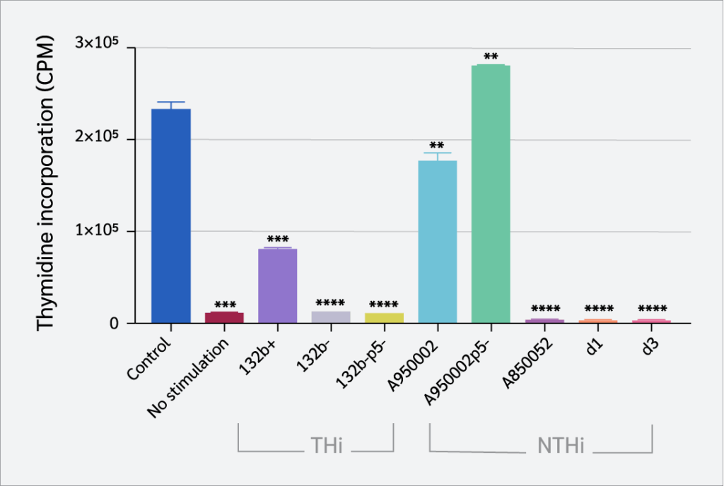 <strong>Figure 3</strong>