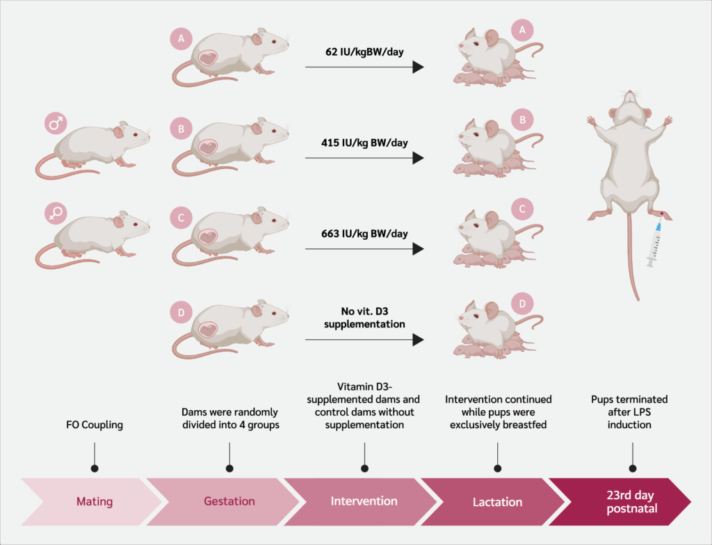 <strong>Figure 1</strong>