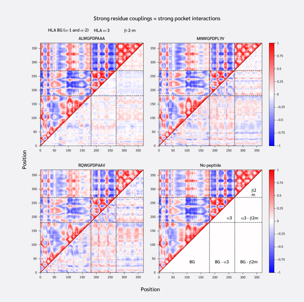 <strong>Figure 2</strong>