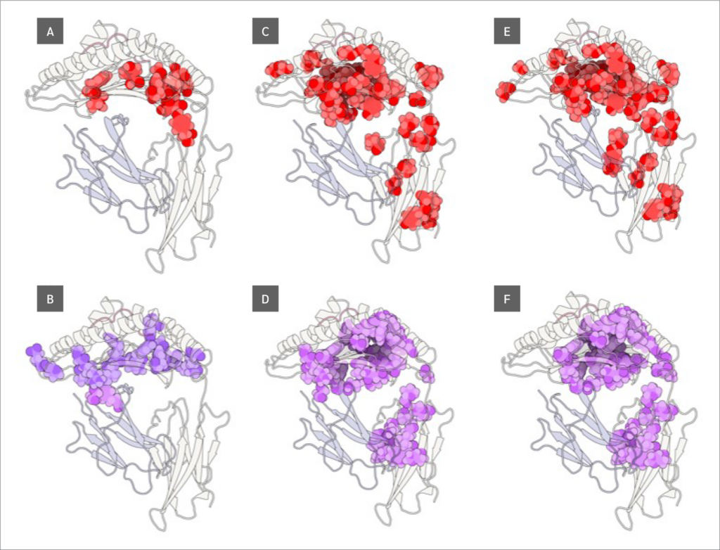 <strong>Figure 3</strong>