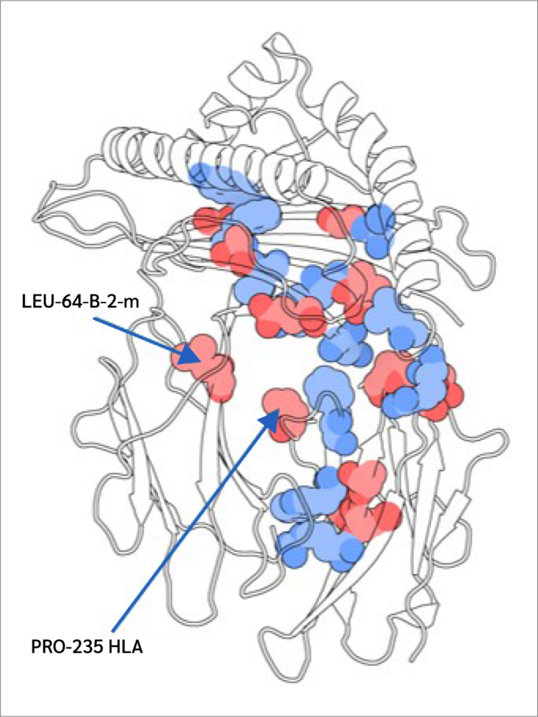 <strong>Figure 6</strong>