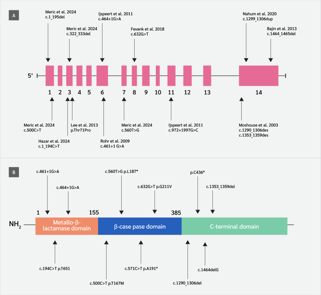 <strong>Figure 1</strong>