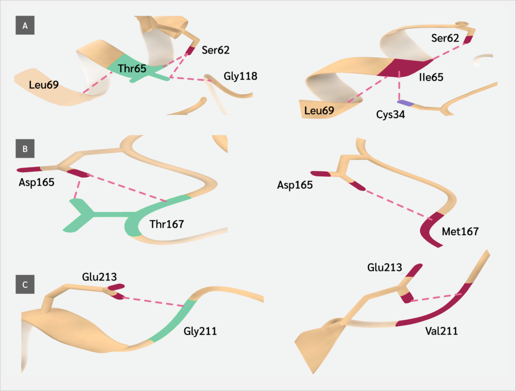 <strong>Figure 2</strong>
