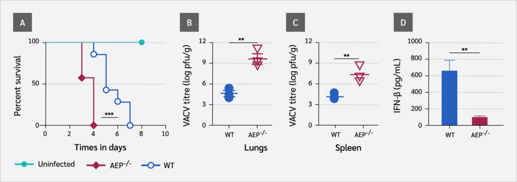 <strong>Figure 4</strong>